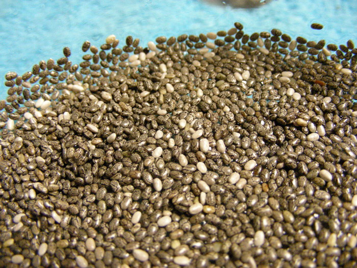 Dry Chia