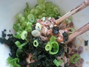 Japanese natto