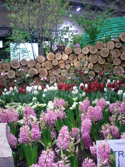 Indoor flower field