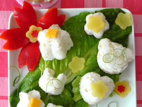 Japanese bento - cherry blossom picnic